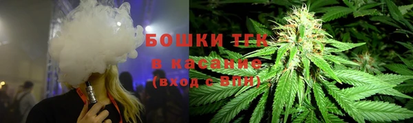 эйфоретик Елизово