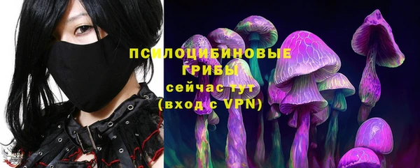 метадон Ельня