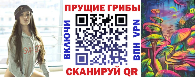 дарнет шоп  Заволжск  Псилоцибиновые грибы Cubensis 