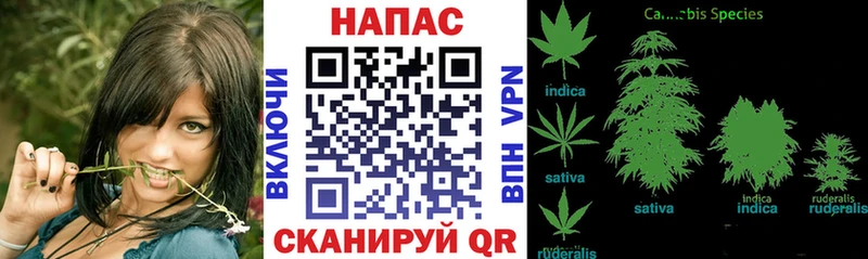 Канабис THC 21%  Заволжск 